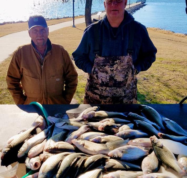 Lake Lewisville Fishing Guide-Dead Sticking