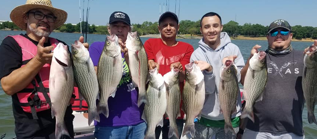 Early Summer Lake Lewisville Fishing Guide Report