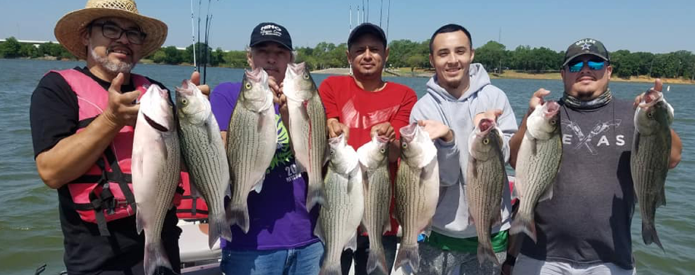 Lake Lewisville Hybrid Striper Fishing Guide Wes Campbell