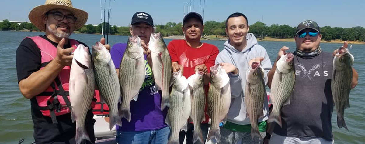 Early Summer-Lake Lewisville Fishing Guide Report