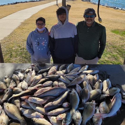 Late Winter Report- Lake Lewisville Fishing Guide